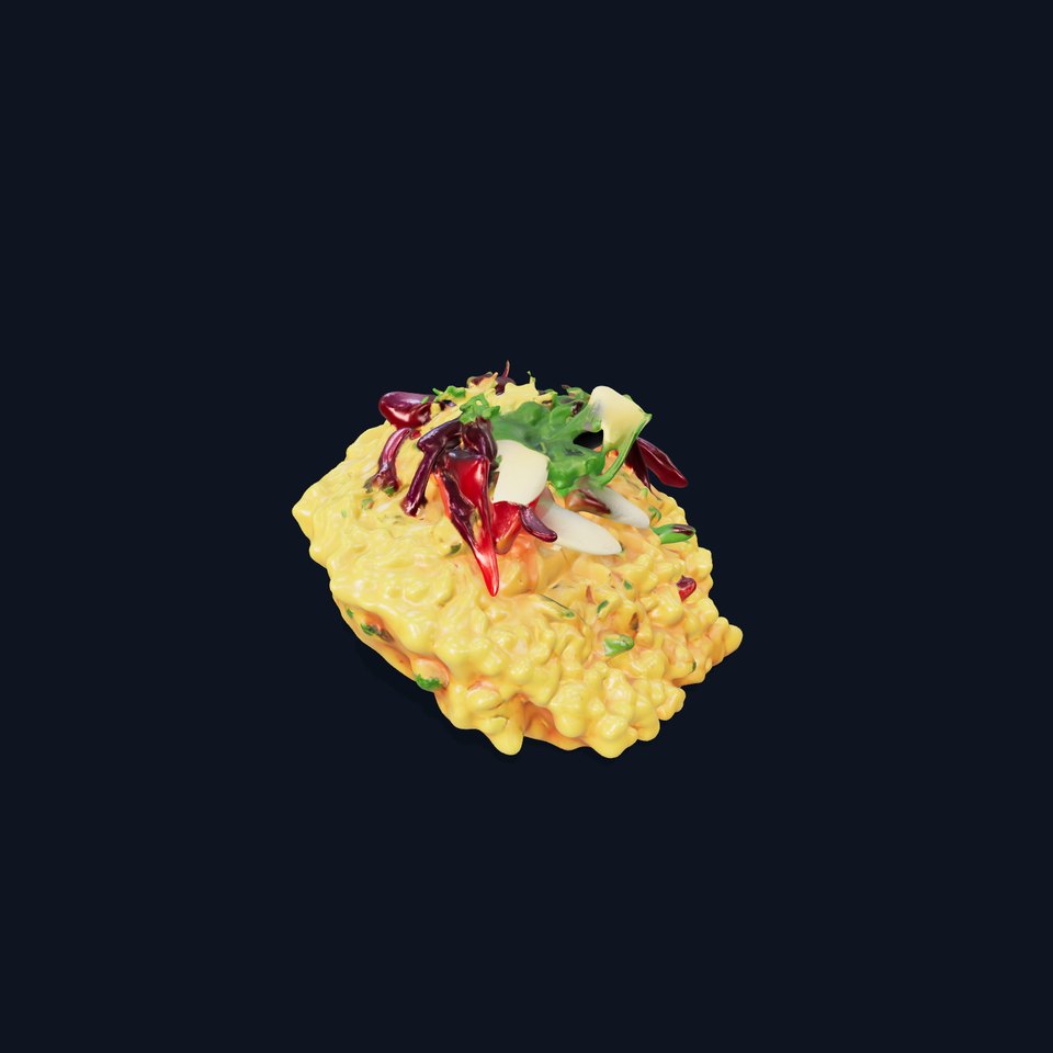 Gourmet Italian Risotto Plate Presentation model pack